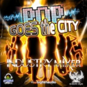 Big Fish Audio eCITY Pop Goes the City Industry Mixer MULTIFORMAT-DISCOVER screenshot
