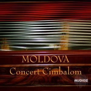 Percision Sound Moldova Concert Cimbalom MULTiFORMAT-AudioP2P screenshot