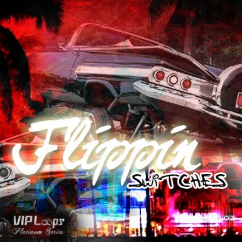 VIP Loops Flippin Switches MULTiFORMAT DVDR-DYNAMiCS screenshot