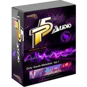P5Audio Dirty South Melodies Vol.1 WAV screenshot