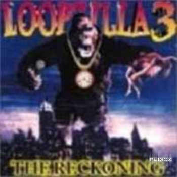 Big Fish Audio Loopzilla Vol.3 The Reckoning CDDA-EtHnO screenshot