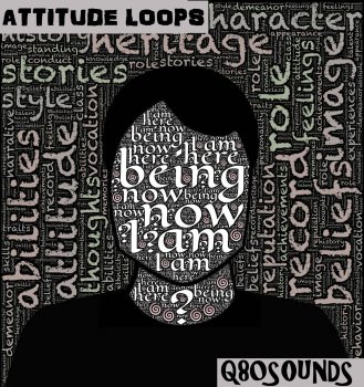 Q80sounds Attitude Loops Hip Hop WAV screenshot