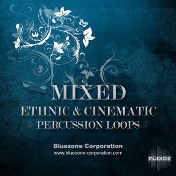 Bluezone Corporation Mixed Ethnic and Cinematic Percussion Loops WAV AiFF-MAGNETRiXX screenshot