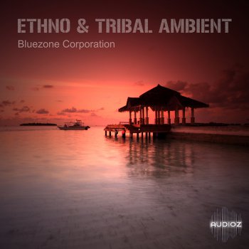 Bluezone Corporation Ethno and Tribal Ambient AiFF WAV-DYNAMiCS screenshot