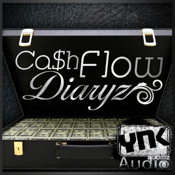 YnK Audio Cash Flow Diaryz MULTiFORMAT-DISCOVER screenshot