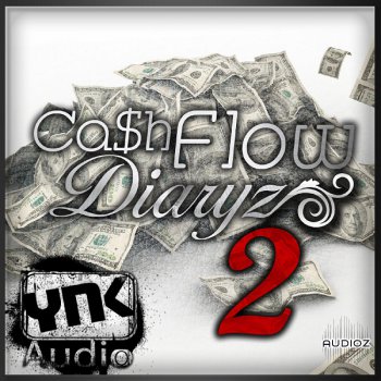 YnK Audio Cash Flow Diaryz Vol.2 ACiD WAV FLP AiFF MiDi-MAGNETRiXX screenshot
