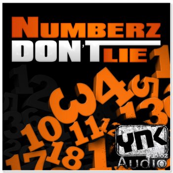 YnK Audio Numberz Dont Lie MULTiFORMAT-DISCOVER screenshot