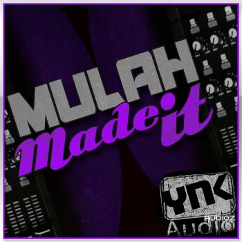 YnK Audio Mike Mulah Made It ACID WAV AIFF REX MIDI-MAGNETRiXX screenshot