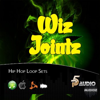 P5 Audio Wiz Jointz Hip Hop MULTIFORMAT-DISCOVER screenshot