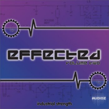 Industrial Strength Records Effected Vol.2 MULTiFORMAT-MAGNETRiXX screenshot