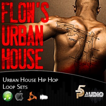 P5Audio Flows Urban House MULTiFORMAT-DISCOVER screenshot