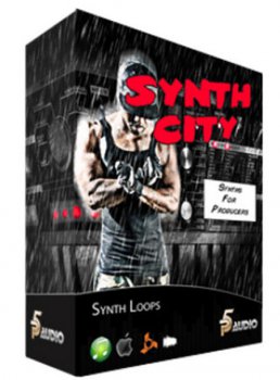 P5 Audio Synth City ACID WAV REX AIFF MiDi-DISCOVER screenshot