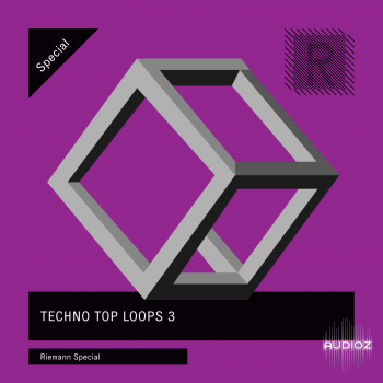 Riemann Techno Top Loops 03 WAV screenshot