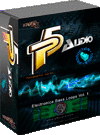 P5Audio Electronika Bass Loops Vol.1 WAV REX AiFF screenshot P5Audio Electronika Bass Loops Vol.1 WAV REX AiFF screenshot