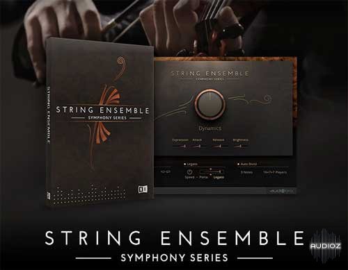 native instruments symphony series string ensemble download
