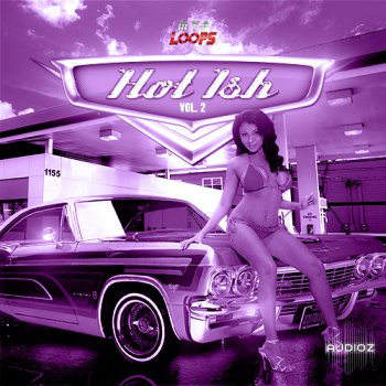 MVP Loops Hot Ish vol.2 ACID WAV MiDi-DISCOVER screenshot