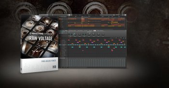 Native Instruments Maschine Expansion: Raw Voltage v1.1.0 HYBRID-R2R screenshot