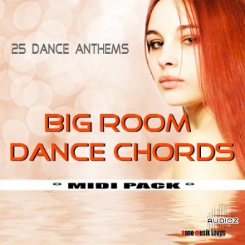 Nano Musik Loops Big Room Dance Chords MiDi-KRock screenshot