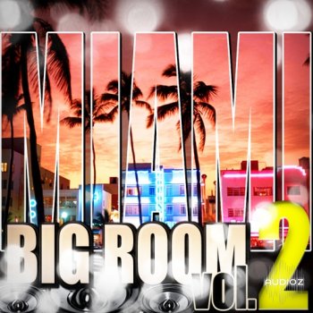 Shockwave Miami Big Room Vol.2 ACID WAV MiDi-KRock screenshot
