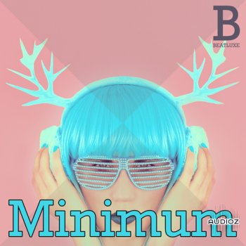 Beatluxe Minimum Minimal Grooves and Drum Hits ACID WAV REX-KRock screenshot