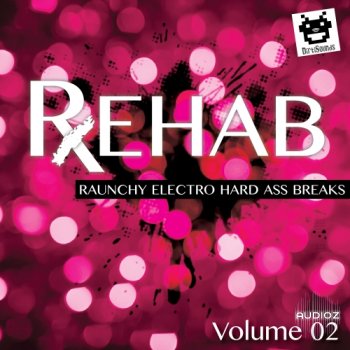 Dirtisounds REHAB Raunchy Electro Hard Ass Breaks Vol.2 ACID WAV-MAGNETRiXX screenshot