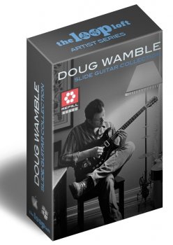 The Loop Loft Doug Wamble Slide Guitar Collection WAV AiFF REX2 RMX-SYNTHiC4TE screenshot