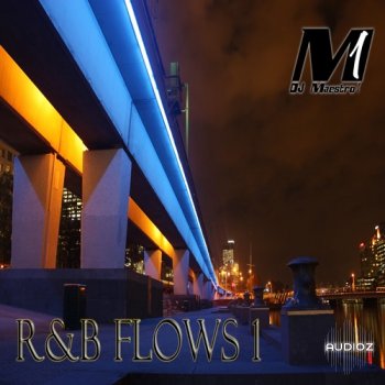 Dj Maestro 1 RnB Flows Vol.1 WAV-KRock screenshot