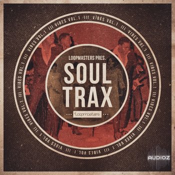 Loopmasters - VIBES Vol 1 - Soul Trax WAV REX screenshot