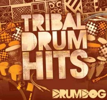 DrumDog Tribal Drum Hits WAV screenshot
