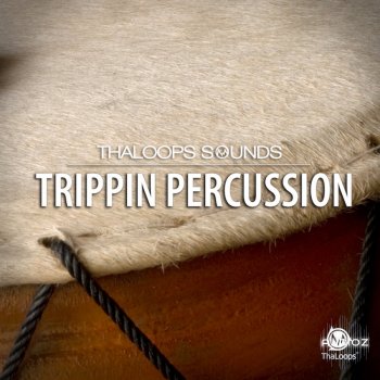 ThaLoops Trippin Percussion Loops WAV REX AiFF screenshot