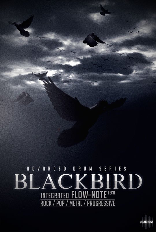 8dio Advanced Drum Series Blackbird Kontakt 合成器 采样器 音源 音色音频应用