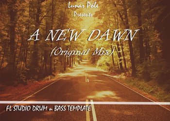 FL Studio Drum n Bass Template FLP REX WAV screenshot