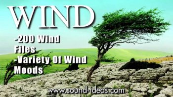 Sound Ideas Wind WAV screenshot