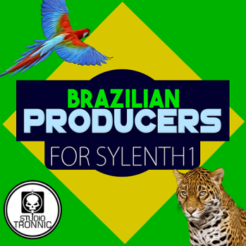 Studio Tronnic Brazilian Producers For LENNAR DiGiTAL SYLENTH1-DISCOVER screenshot Studio Tronnic Brazilian Producers For LENNAR DiGiTAL SYLENTH1-DISCOVER screenshot