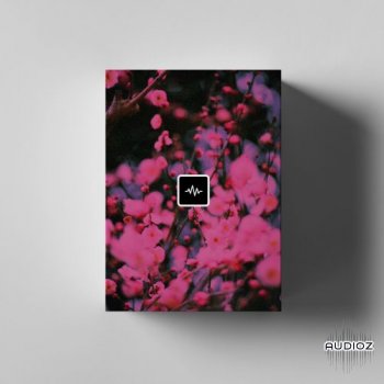 REQ: Dez Wright – Blossom (Loop Kit) screenshot