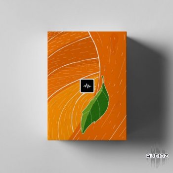 REQ: WavSupply - JRHITMAKER – Fanta (Sample Pack) screenshot
