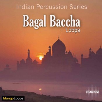 Mango Loops Indian Percussion Series Bagal Baccha WAV AiFF-SYNTHiC4TE screenshot
