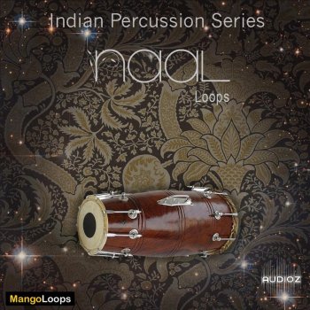 Mango Loops Indian Percussion Series Naal WAV AiFF-SYNTHiC4TE screenshot