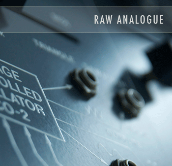 SoundsDivine Raw Analogue Series MULTiFORMAT screenshot SoundsDivine Raw Analogue Series MULTiFORMAT screenshot