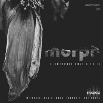 Audiomodern Morph WAV-DISCOVER screenshot