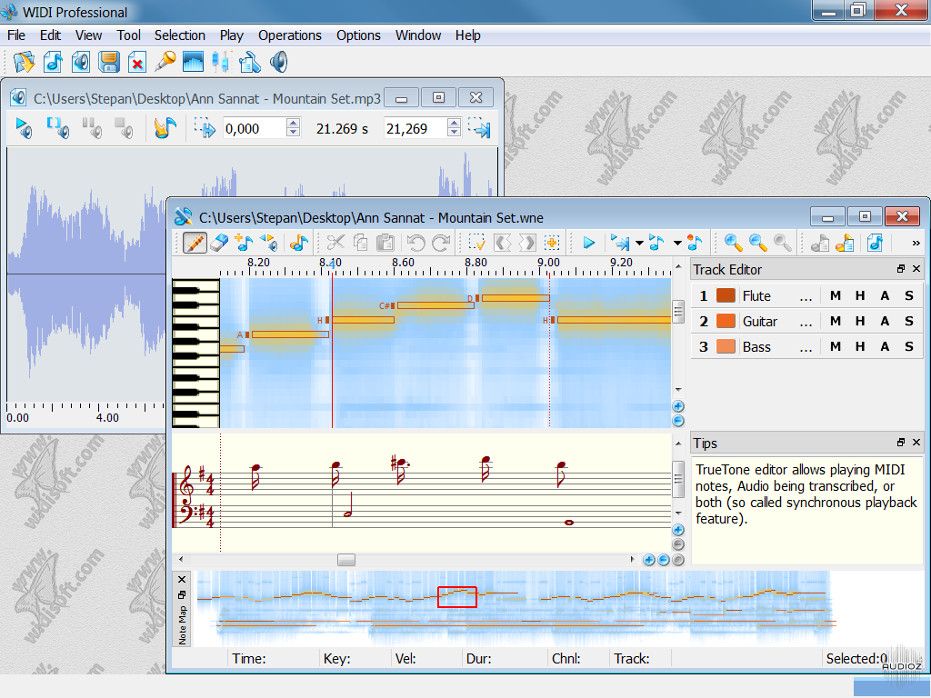 Download WIDI Recognition System Professional v4.5.0 Build 677 » AudioZ