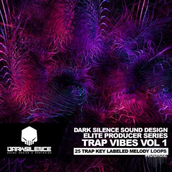 Dark Silence Sound Design Trap Vibes Volume 1 WAV screenshot