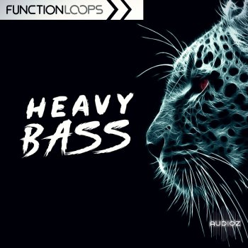 Function Loops Heavy Bass WAV MIDI Serum-DECiBEL screenshot