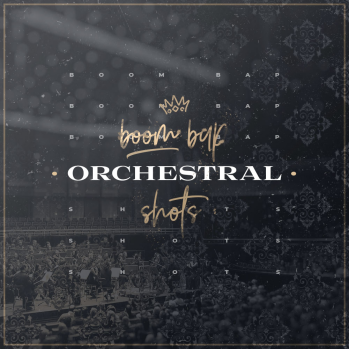 Diginoiz Boom Bap Orchestral Shots WAV-DISCOVER screenshot Diginoiz Boom Bap Orchestral Shots WAV-DISCOVER screenshot