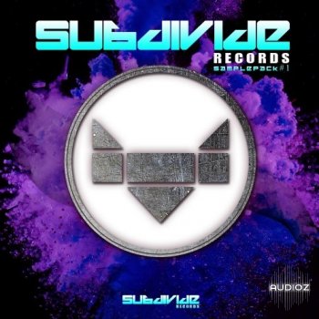 Subdivide Records Samples #1 by Item WAV screenshot