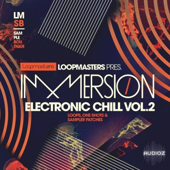 Loopmasters Immersion Electronic Chill 2 WAV REX screenshot