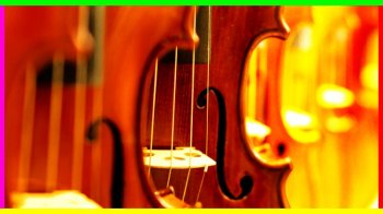 Udemy Violin Beginner to Advanced Vibrato VIBRATO MASTER COURSE TUTORiAL screenshot