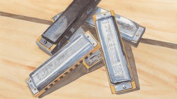 Udemy - Harmonica Beginners: 17 Hacks & Tips - Kickstart Your Skills screenshot