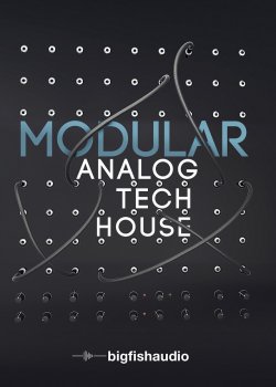 Big Fish Audio Modular: Analog Tech House KONTAKT screenshot