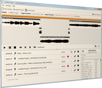 PlayIt VoiceTrack v1.04 Build 683 Incl Keygen screenshot